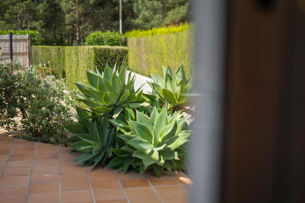 Casa Garrod - Spacious Family Villa Aljezur Buitenkant foto