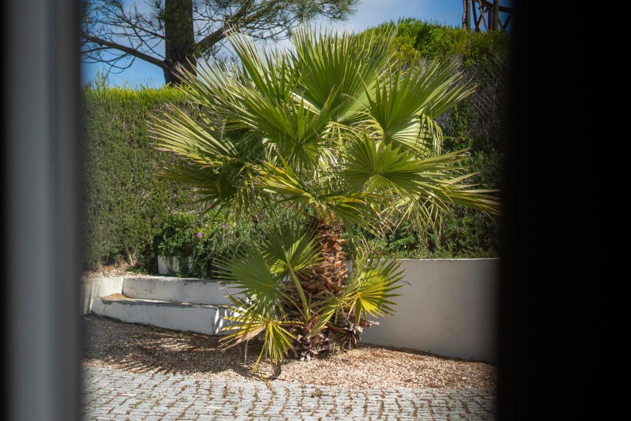 Casa Garrod - Spacious Family Villa Aljezur Buitenkant foto